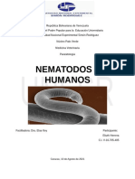 Trabajo Sobre Los NEMATODOS - Humanos