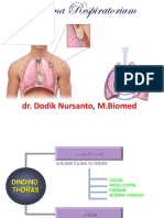 anatomi systema respiratorium