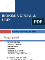 Biokimia Ginjal Dan Urin