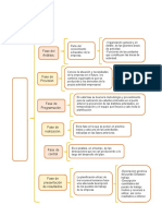 Fase Del Análisis