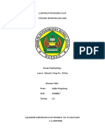 Laporan Pendahuluan Stroke Haemoragic