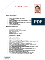 Curriculum Felipe 2
