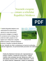 258149568-Procesele-Exogene-de-Formare-a-Reliefului-Republicii-Moldova