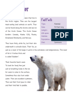 Polar Bear: Fast Facts