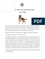 Displasia de Cadera en Perros de Raza Pastor Alemán - Sara Castrilón.