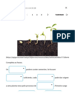 Escola Virtual - Plantas 1 Perguntas