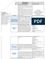 Matriz de Intervencion Estetica Cosmetica.