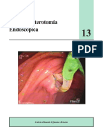 Papiloesfinterectomia Endoscopica