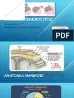 Trauma Craneoencefalico (Tce)