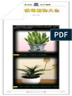 室內吸毒植物大全（图文）.PDF (1.19 MB)