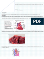 Sistema Cardiovascular