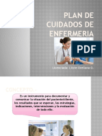 Plan de Cuidados de Enfermeria