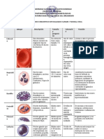 Practica6 SangreMedula Osea