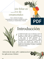 Nutrición de Plantas