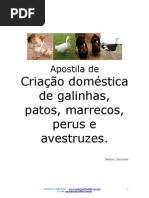 Dicas de criação