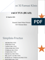 Simplisia Fructus (Ricardo Daniel)