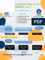 PKN MODUL 1,2 Baru1