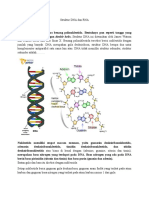 DNA Dan RNA