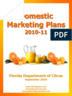 Domestic Marketing Plans 2010-11