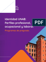 Perfiles profesionales, ocupacionales y laborales de la UNAB