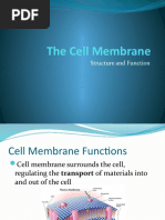 1 - Cell Membrane