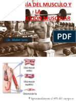 Musculo1 VRT