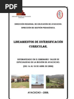 Lineamientos Diversificacion