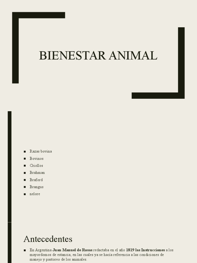 Bienestar Animal | PDF | Carne | Bienestar de los animales