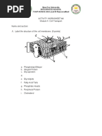 Activity Worksheet #4 Module 4: Cell Transport