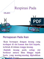 7sistem Respirasi Ikan