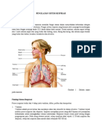 Booklet Pengkajian Respirasi