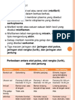 Materi Jaringan Otot Dan Saraf PDFT