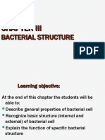 Chapter III Bacterial Structure
