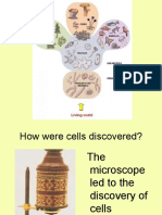 Cell Organelle Notes