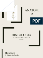 anatomia_estudo_dos_tecidos
