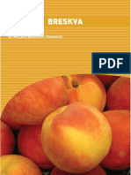 F23.0 Fresh Peaches Guide