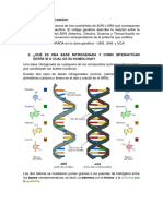 Codones, bases nitrogenadas, aminoácidos y tipos de ARN y cromosomas