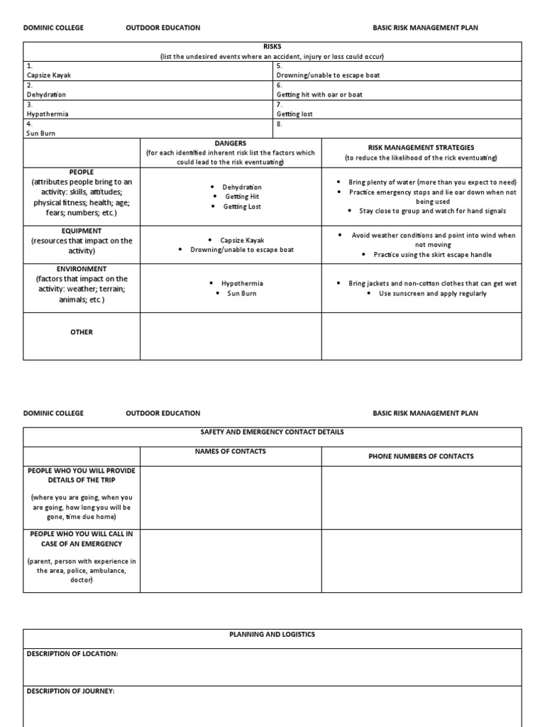 Dominic College Risk Management Plan | PDF | Risk | Risk Management
