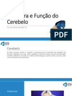 Estrutura e Função Do Cerebelo