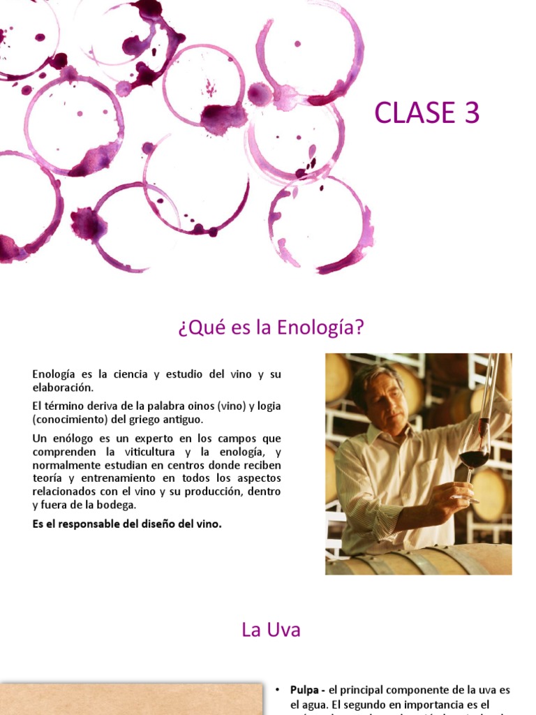 Introducción a la Enología y Vinos | PDF | Vino | Vinificación