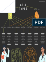 Cell Types: Plant Cell Animal Cell