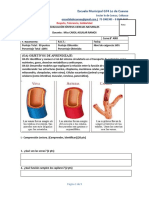 EVALUCION 8 Ciencias