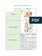 Análisis y Resultado de La Planta Medicinal