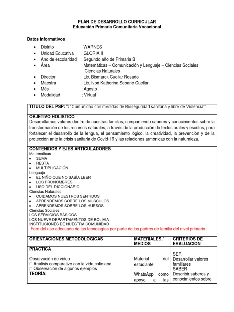 Plan de Desarrollo Curricular 2do B | PDF | Educación primaria | Cognición
