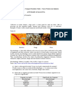 Estudo de microrganismos e reações químicas