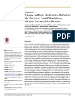 A Simple and Rapid Identification Method For Mycobacterium Bovis BCG With Loop-Mediated Isothermal Amplification