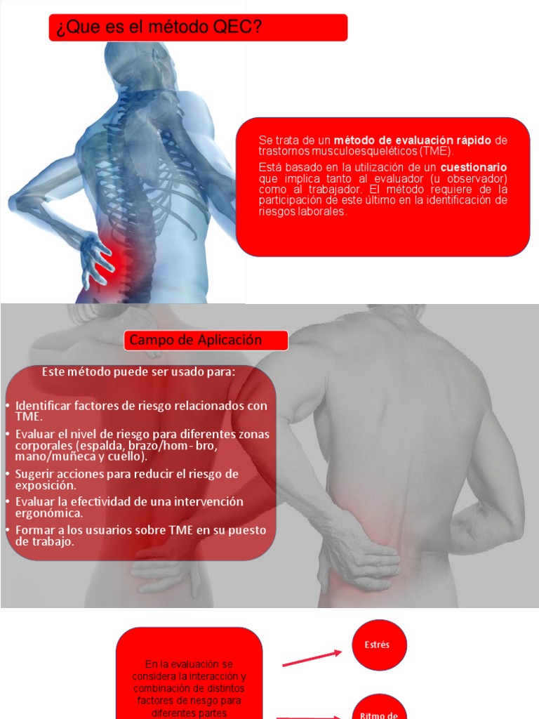 Metodo QEC Trastornos Musculo Esqueletico | PDF | Fuerza | Estrés ...