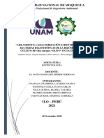 Aislamiento, Caracterización e Identificación de Bacterias Diazotróficas de La Rizósfera Del Cultivo de Olea Europea "Olivo" en Tacna Perú