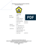 Kelompok 2 (A) - Sistem Pencernaan