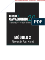 Modulo 2 Elevando Seu Nivel